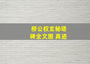 柳公权玄秘塔碑全文图 真迹